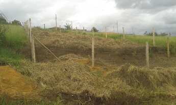 Imagem 3: Terreno Grande e Barato