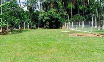 Imagem: 2,36 alqueires - cultura