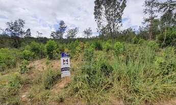 Imagem 7: Lote - Terreno - Chácara - 1.000,00m²