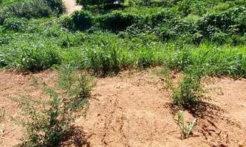 Imagem 6: Terreno em Condomínio para Venda em Roncáglia Valinhos-SP - 2993