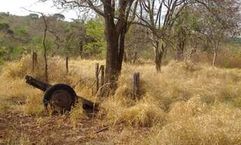 Imagem 2: Fazenda 900 hectares a venda em Várzea da Palma