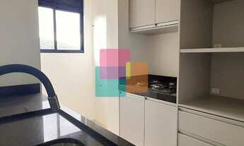 Imagem 5: JOINVILLE - Padrão - Anita Garibaldi