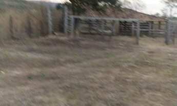 Imagem 5: Fazenda 900 hectares a venda em Várzea da Palma