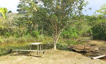 Imagem 3: Vende-se Chácara com 30.000 m2