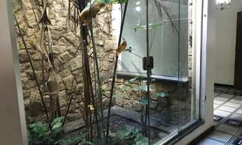 Imagem 6: Casa - Novo Taquaral - Campinas