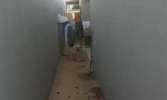 Imagem 7: Aluguel de casa Casa com 2 dormitórios