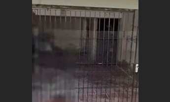 Imagem 2: Alugo Apartamento Amplo de 1/4 na Pedro Miranda próximo às Arquibancadas