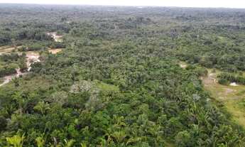 Imagem 3: Terreno para venda tem 9,2266 Hectares na Rod. Manoel Urbano - Manacapuru - AM