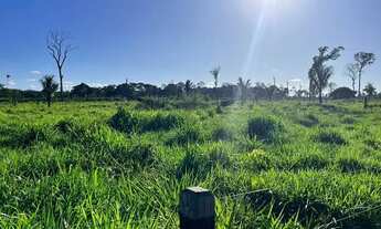 Imagem 2: Sítio localizada na LH 03 do flor do Amazonas a 31 km de Cándeias do Jamari