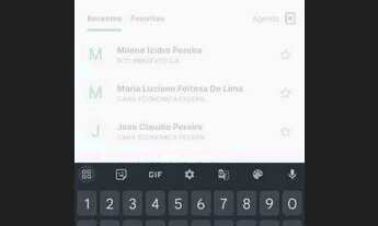 Imagem 2: Venda Chácara com venda por R$250.000