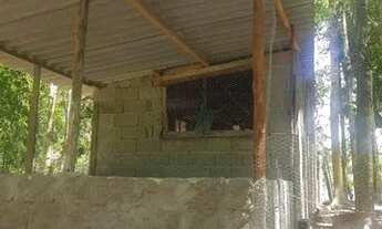 Imagem 2: Terreno sítio 3.000m2 em Itanhaém São Paulo murado com animais