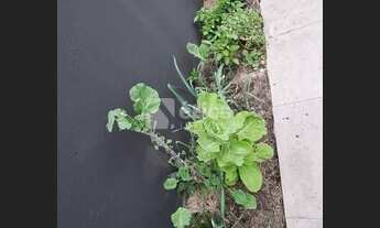 Imagem 7: Casa localizada próximo a igreja matriz de Itajaí pertinho de tudo