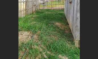 Imagem 3: Vendo casa de madeira