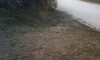 Imagem: VENDO TERRENO EM SAMBAETIBA 5MIN DA PISTA