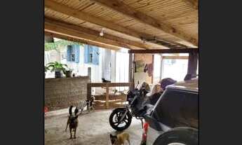 Imagem 6: Vendo chácara em sapucaia