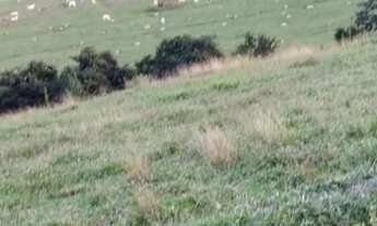 Imagem: Vende-se uma excelente chácara de 6 alqueires