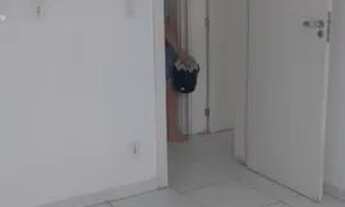 Imagem 3: Aluguel de Apartamento