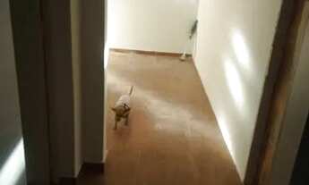 Imagem 5: Casa ,em Itapevi setor A, 3 comados com garagem