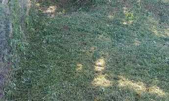 Imagem 7: Vendo ou troco terreno em Imbituba, sambaqui