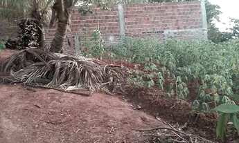 Imagem 4: Casa em sítio sem acabamento