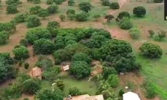 Imagem 3: Baldim/MG - Fazenda de 1.552ha - R$15.000,00 cada hectare