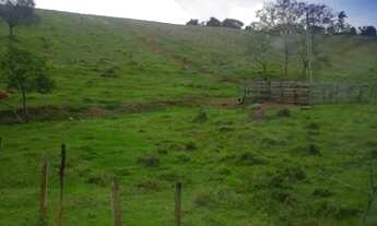 Imagem: 96 alqueires Tremembé sp