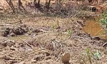 Imagem 3: Terreno com água em mateus leme