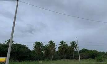 Imagem 2: TERRENO para alugar na cidade de EUSEBIO-CE