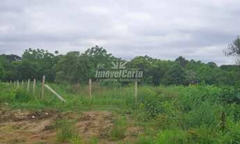 Imagem 4: TERRENO à venda com 128000m² por R$ 12.000.000,00 no bairro Thomaz Coelho - ARAUCÁRIA / PR