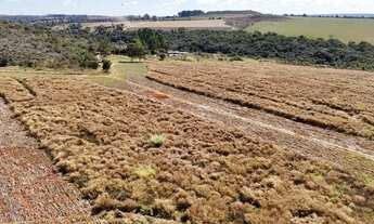Imagem 4: Fazenda para lavoura a venda em Anápolis - GO