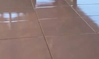 Imagem 4: Chácara Lazer Goianira pega troca