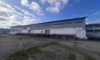 Imagem 5: GALPÃO NO INÁRCIO - 2500