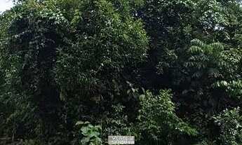 Imagem: NA PROMOÇÃO!! SITIO 1000m2