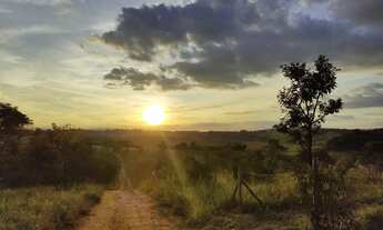 Imagem 2: Vendo chácara de mil metros