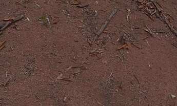 Imagem 3: Vendo terreno na vila do novo remanso