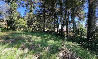 Imagem 3: Lote em bairro residencial a venda