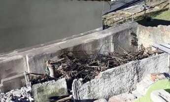 Imagem 6: TERRENO - VILA FORMOSA - SP