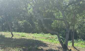 Imagem 2: VENDO/TROCO CHÁCARA 1200m2 EM MORRINHOS/GUARAPARI