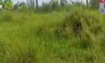 Imagem 6: Terreno 8X20 /40.000 Bairro Valle Verde