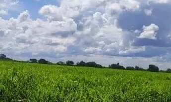 Imagem 5: Fazenda no município de Turvelândia GO
