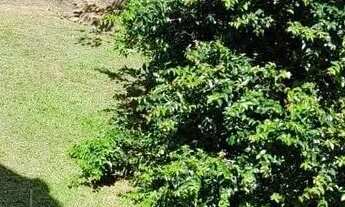 Imagem 6: CASA Á VENDA Casa com 2 dormitórios