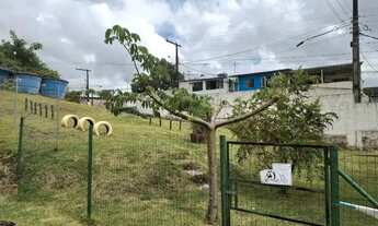 Imagem 6: Apartamento à venda no VIVERDE , ALBERTO MAIA, Camaragibe, PE