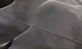 Imagem: Dupla Aptidão, Agricultura, pecuária,Pocilga,Tanque