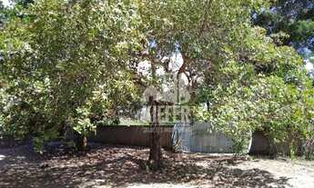 Imagem 5: Sítio com 3 dormitórios à venda, 2800 m² por R$ 430.000,00 - Parque Alves Branco II - Arar