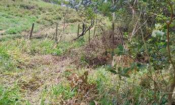 Imagem 3: Ótimo terreno 9000m2