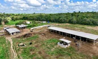 Imagem 5: Vendo chacara em Mairipotaba / Goiás