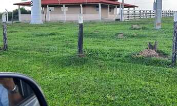 Imagem: Fazenda 151 alqueires em Caiapônia Goiás