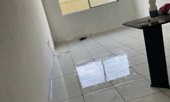 Imagem 6: Repasse casa flores do campo