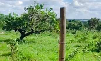 Imagem: Lote em Padre Bernardo-GO (Vendinha