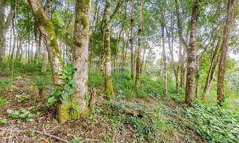 Imagem: TERRENO URBANO 2248M SÃO DIMAS - COLOMBO